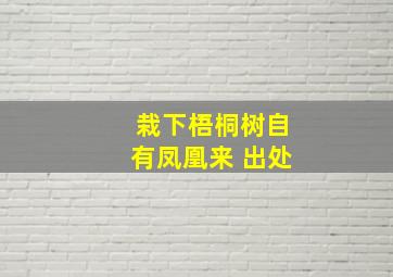 栽下梧桐树自有凤凰来 出处